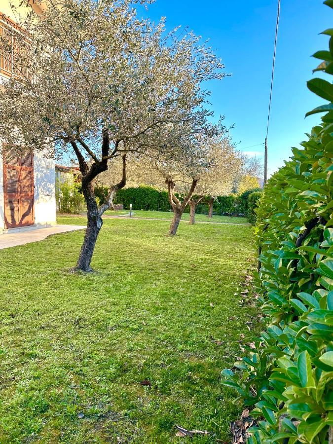 Abitatt Apart otel Fosdinovo Dış mekan fotoğraf