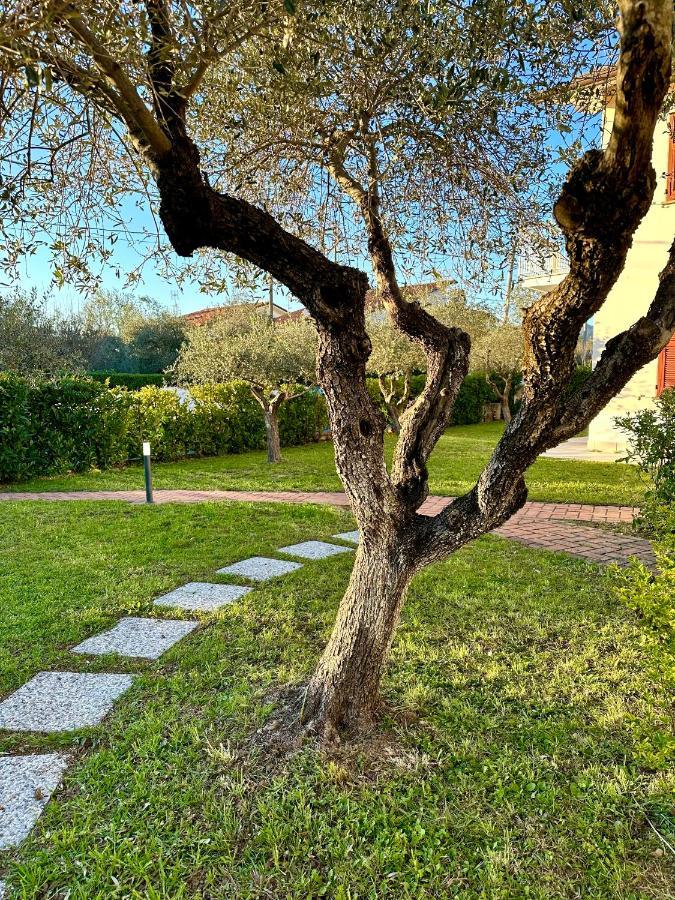 Abitatt Apart otel Fosdinovo Dış mekan fotoğraf